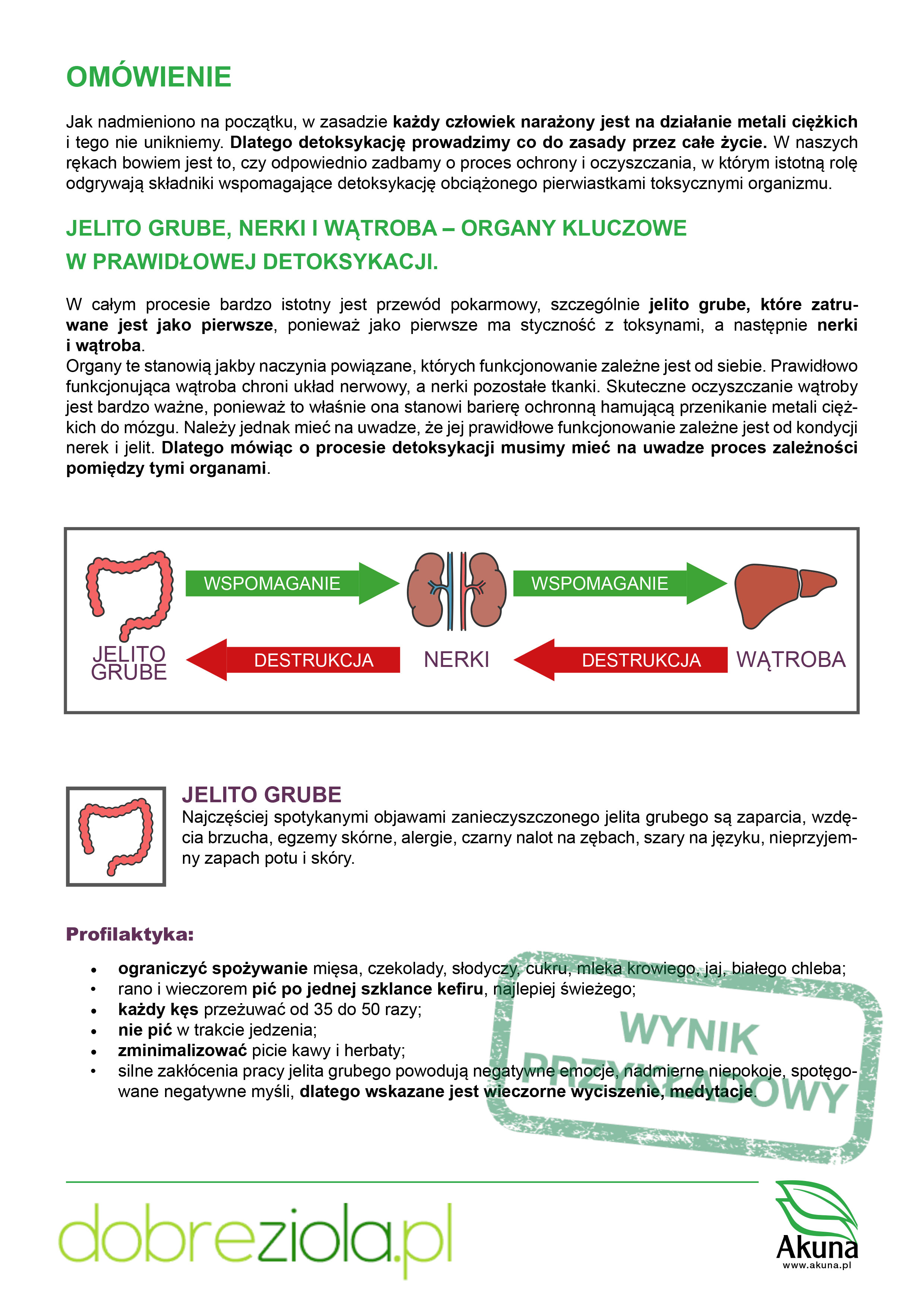 Toxic Elements - Przykładowy Wynik